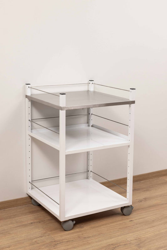 SW 60 R - Carrello in acciaio con bordo e  ruote